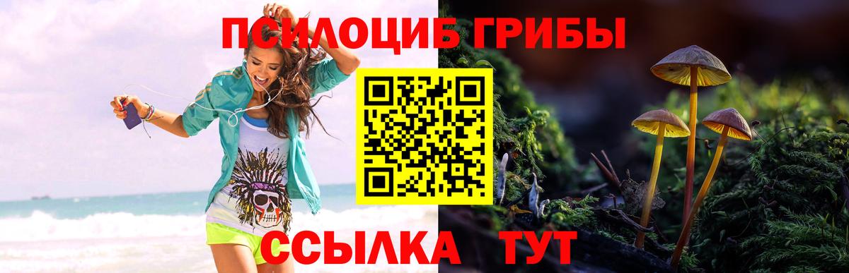 Псилоцибиновые грибы мицелий  Галлюциногенные грибы мухоморы  Вход с VPN  где можно купить наркотик  Белгород 